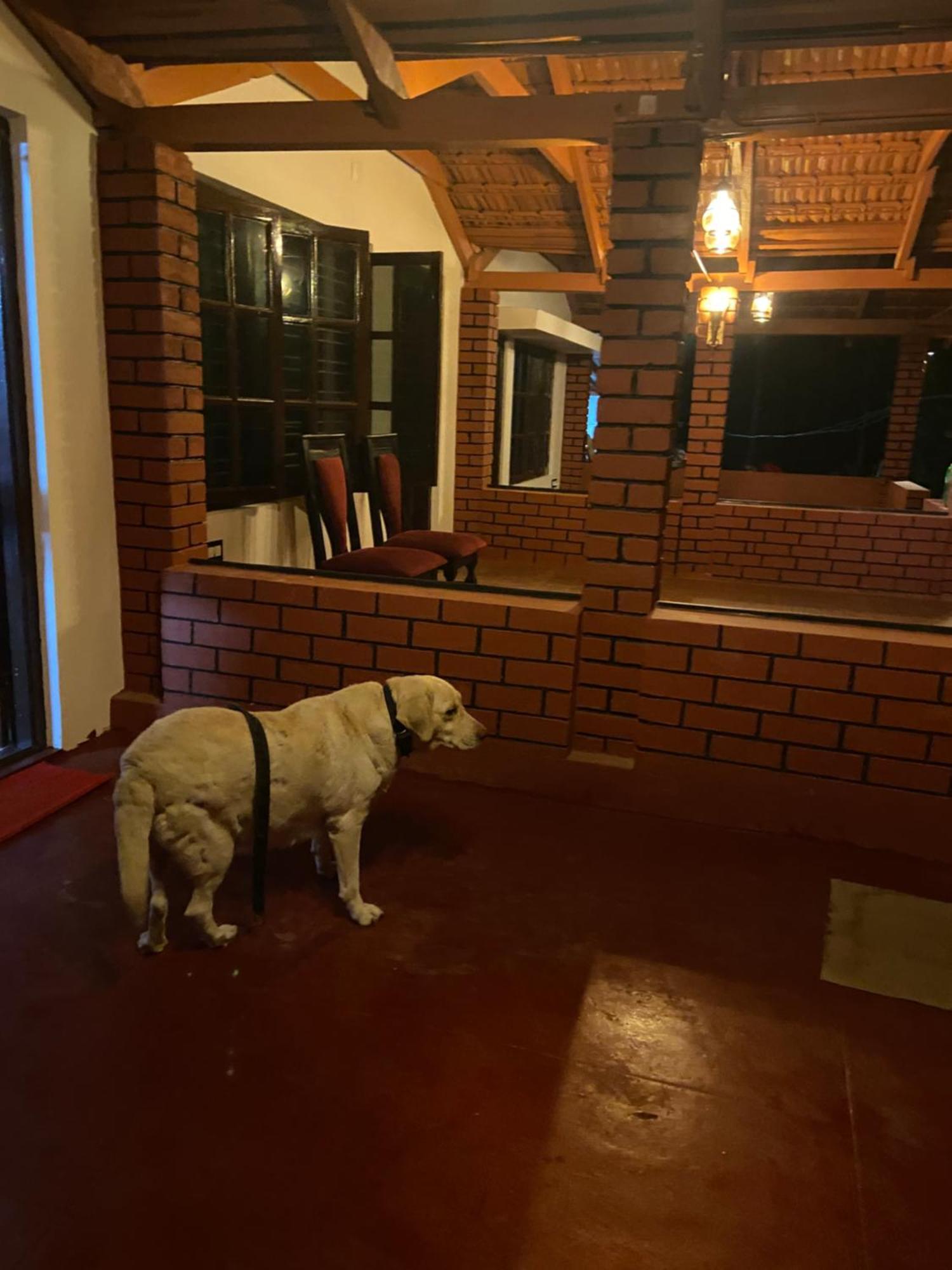 Koodige Stays Mudigere Exterior photo